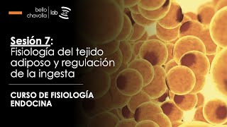 Fisiología del tejido adiposo y regulación de la ingesta [upl. by Ameh898]