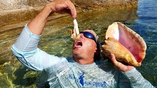 Saltwater Sea Snail Catch Clean Cook Staniel Cay Exuma Bahamas [upl. by Suzann517]