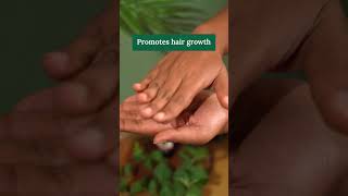 Ayurvedic Hair oil to Nourish Strengthen amp Shine hair ayurvedaorganichaircarehairgrowthproducts [upl. by Melvina166]