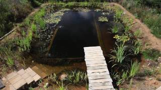 Natural Pools  Organic Pools selfbuild [upl. by Aduhey]