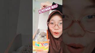 Korenani neko pets cat cute ytviral 226 dance feedshorts [upl. by Dualc885]