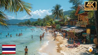 Koh Tao Thailand🇹🇭 Most Relaxing Tropical Paradise Island in Thailand 4K UHD [upl. by Jillayne]