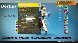 Destiny Giants Husk Medallion location [upl. by Nadabas288]