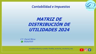 Matriz Distribución de Utlidades 2024 [upl. by Eioj]