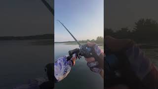 listen to the “music” addicted to finding bass under lotus！fishing fish largemouthbass [upl. by Erbma]