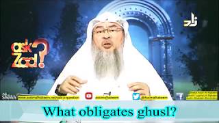 When is it Mandatory for a person to make Ghusl  Sheikh Assim Al Hakeem [upl. by Neeluj]