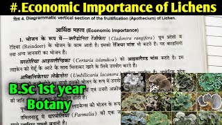 Economic Importance of Lichens  BSc first year Botany Microbiology and plant pathology [upl. by Halik]