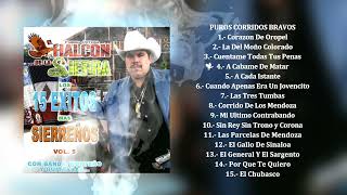 El Halcón De La Sierra  Los 15 éxitos mas sierreños Vol5 Álbum Completo [upl. by Caren]