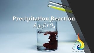 STECHIOMETRIA  Precipitazione del Cromato di argento Ag2CrO4  Educ  FullHD [upl. by Yamauchi254]