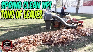 How To Do A Spring Clean Up 3 175 Job In A Little Over An Hour  Bagging Leaves  Leaf Clean Up [upl. by Anuait]