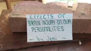 Effects of Brain Injury on our Personalities [upl. by Ennylhsa]