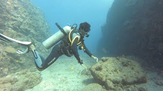 Scuba Diving Coin de Mire Confetty Bay [upl. by Akemed361]