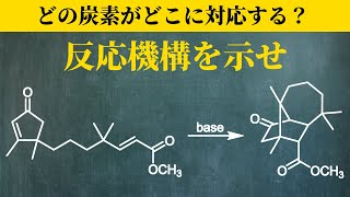 【院試問題解いてみた】どこが反応するのか？まずは番号を振ってみよう【H31年度 東京大学工学研究科 応用化学専攻 有機化学642】 [upl. by Obie]