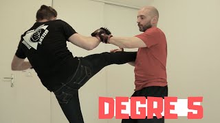 Wing Chun Defense System  Degré 5 [upl. by Gillian899]