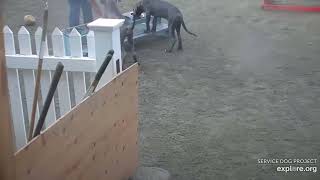 Arena Brekkies 2 Blues Emeline edited rules 5142024 exploreorg [upl. by Phillida]