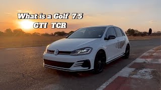 What you dont know about this car cars automobile review gti tcr mk75 carwow trending [upl. by Cirri526]