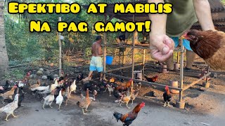 PINAKAMABILIS NA PAG GAMOT SA SIPON NG MANOK [upl. by Rola]