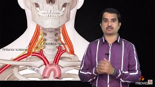 Brachial Plexus Advanced lecture  Usmle Fast Track mode  not for beginners  Dr Bhanu prakash [upl. by Hareema]