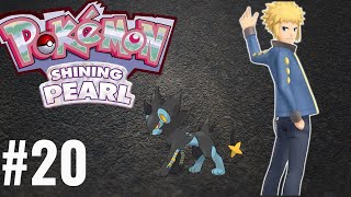 Jornada Pokémon Shining Pearl 20 Lutra contra Volkner [upl. by Magnien27]