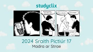 17 Leaving Cert Irish Orals Picture Stories 2024 Sraith Pictiúr 17  Madra ar Strae [upl. by Auberbach838]