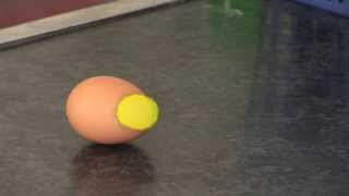 Egg Experiment to Demonstrate Inertia [upl. by Kosse]