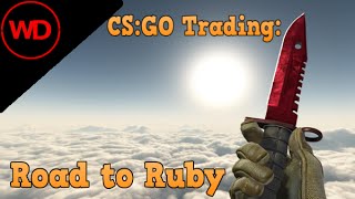 CSGO Trading  Road to Ruby 06 [upl. by Emelda]