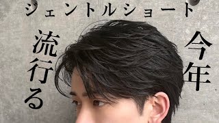 今流行りのジェントルショート‼️ 【メンズヘアサロンMotCo岡山駅前】 [upl. by Asertal]