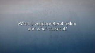 Vesicoureteral Reflux VUR  FAQ with Dr Heather Di Carlo [upl. by Eniamurt]