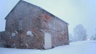 My winter residence is a derelict coach house in a car park [upl. by Deena862]