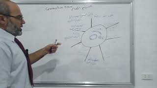 الخلايا المتوسطية Mesenchymal cells [upl. by Rollie]