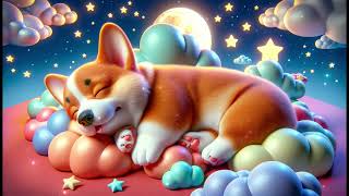 Pembroke Welsh Corgi Lullaby：Soothing Music Under the Starry Sky lullaby sleep relaxing pets [upl. by Marigolde539]