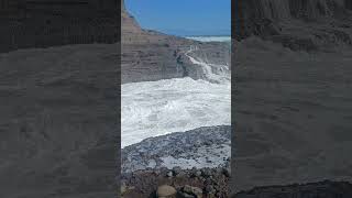 Piha beach [upl. by Lleoj39]