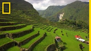 Soar Over the Lush Rice Terraces of the Philippines  National Geographic [upl. by Enilrac]