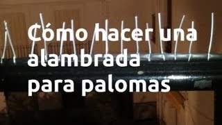 Cómo hacer una alambrada para palomas [upl. by Zaller]