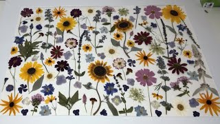 Pressed Flower Art Tips [upl. by Reade]