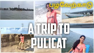 One Day Trip to PulicatTourist Place Near ChennaiPazhaverkaduBird Sanctuaryபழவேற்காடுBoating [upl. by Nyrat473]