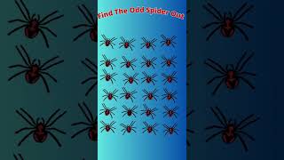 Find The Odd Spider Out [upl. by Dollar623]