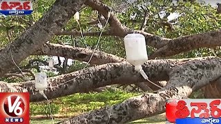 Officers Giving Treatment For Pillalamarri Banyan Tree In Mahabubnagar  Teenmaar News  V6 News [upl. by Callida]