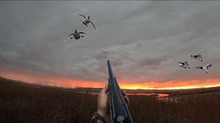 Oregon Duck Hunting Opening Day  Summer Lake  Goose and Duck Limits [upl. by Pillihp147]