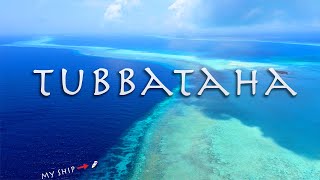 TUBBATAHA the Philippines Greatest Wild Life Sanctuary [upl. by Aimee]