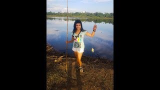 Pescando Piranhas no Pantanal Parte 1 [upl. by Ahsiekim]