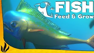 NOUVEAU MODE SURVIE  ÉCLOSION FAIM REPRODUCTION Feed and Grow Fish [upl. by Rengaw]