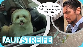 Sindera greift durch “Das geht auf meine Kappe” Scheibe EINGESCHLAGEN  Auf Streife  SAT1 [upl. by Ruenhcs]