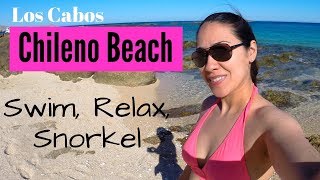 Best beach to see in CABO SAN LUCAS is Chileno Bay Beach  Things to see and do in Cabo San Lucas [upl. by Eisnyl213]