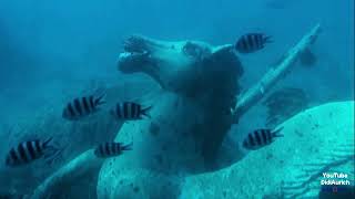 Mit dem UBoot Sindbad Submarines unter Wasser Ã„gypten Hurghada Rotes Meer Abenteuer Red Sea Egypt [upl. by Kenay]