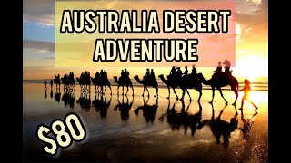 80 Adventure Camel Ride In Anna Bay  Newcastle  Australia [upl. by Gall]