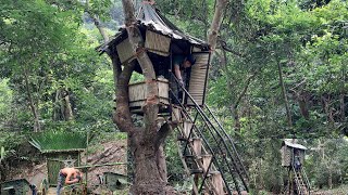 Camping Compiled videos of building shacks in the forest [upl. by Yenffad]