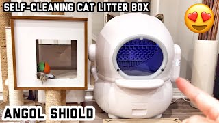 Self Cleaning Cat Litter Box Cat Design [upl. by Kachine]