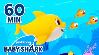 Baby Shark Doo Doo Doo 60 Min  Compilation  Baby Shark Remix  Baby Shark Official [upl. by Akiv]