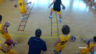 Sesión práctica de preparación física Agilidad velocidad de pies en baloncesto por Juan Trapero [upl. by Erlene]